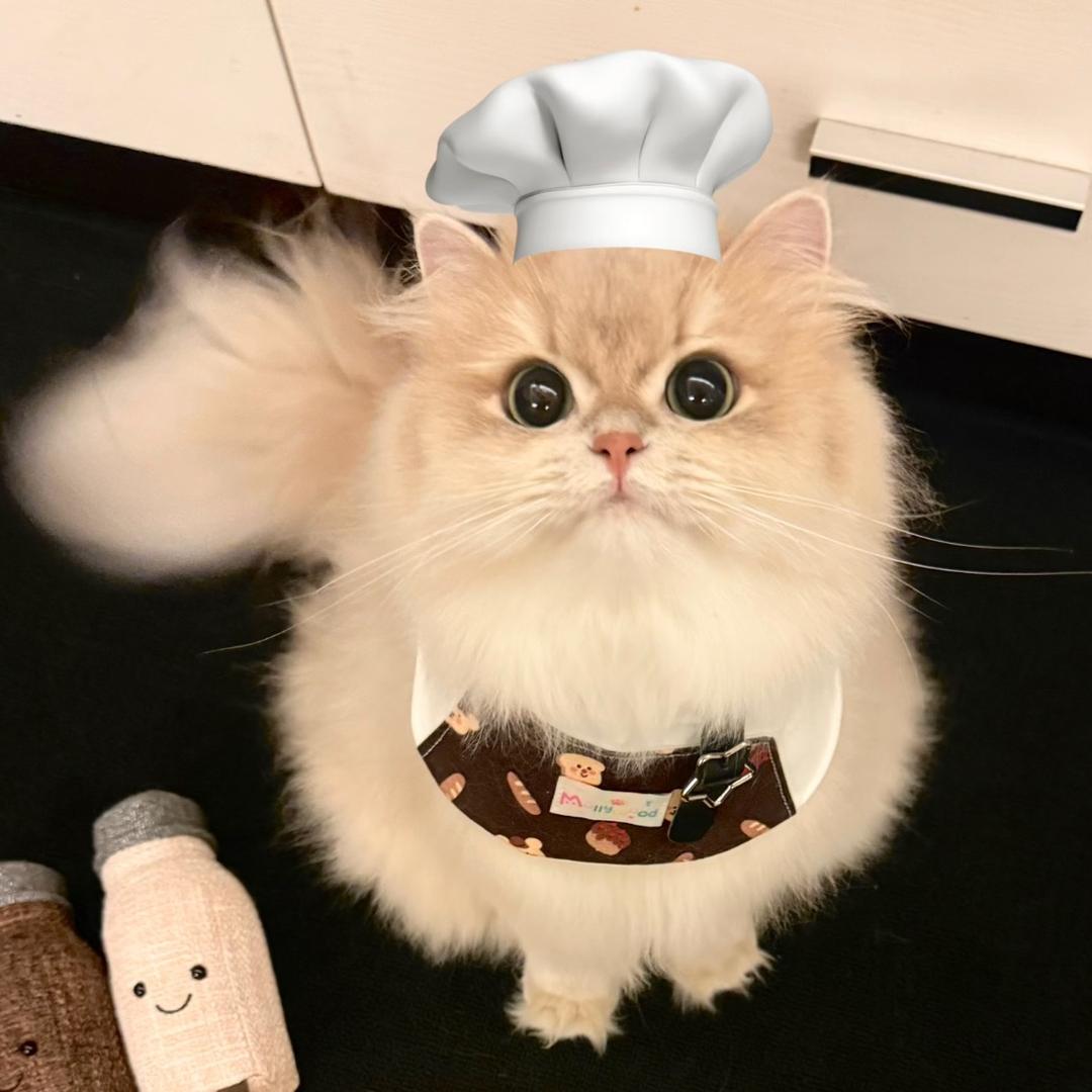 小熊（努力版）