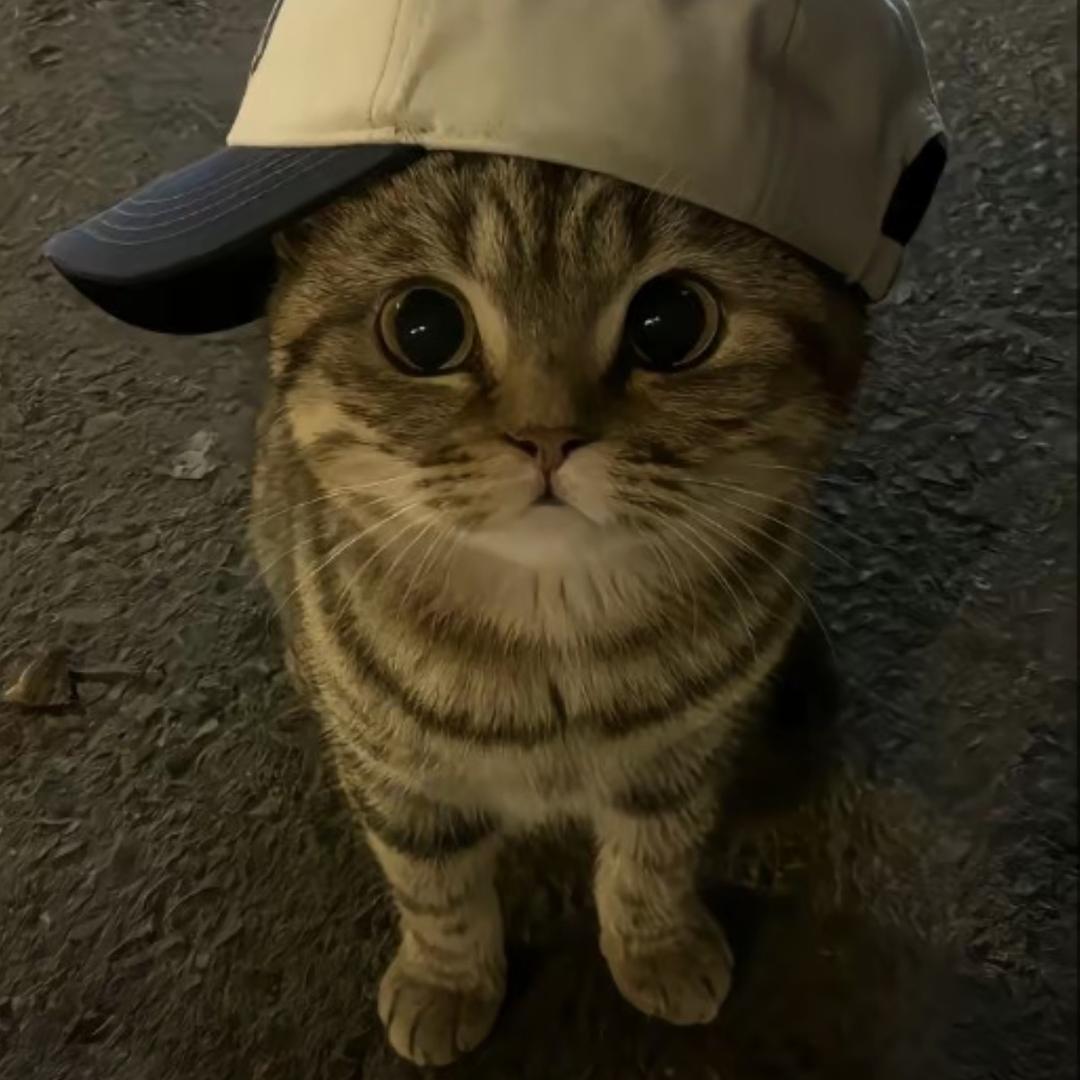 阿欣