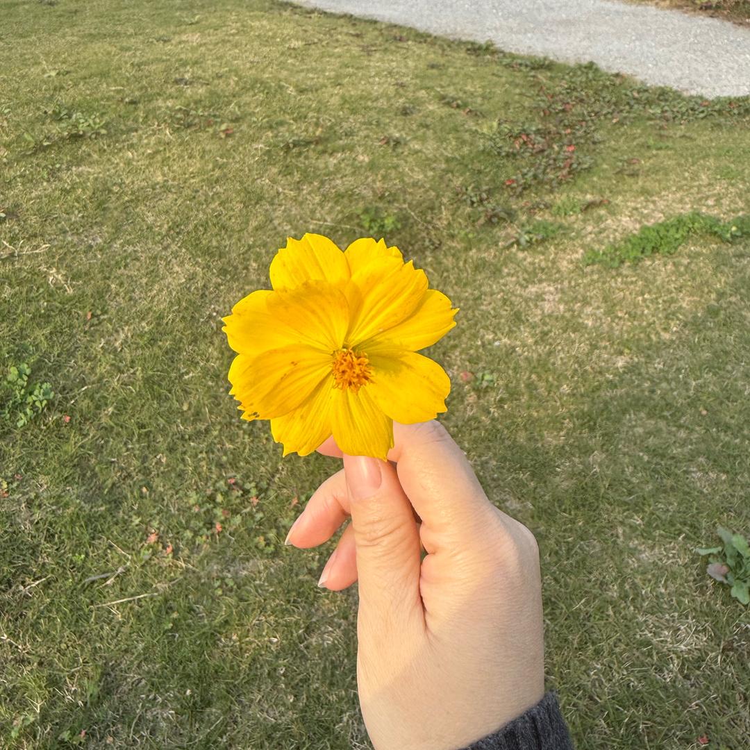 半勺糖💕