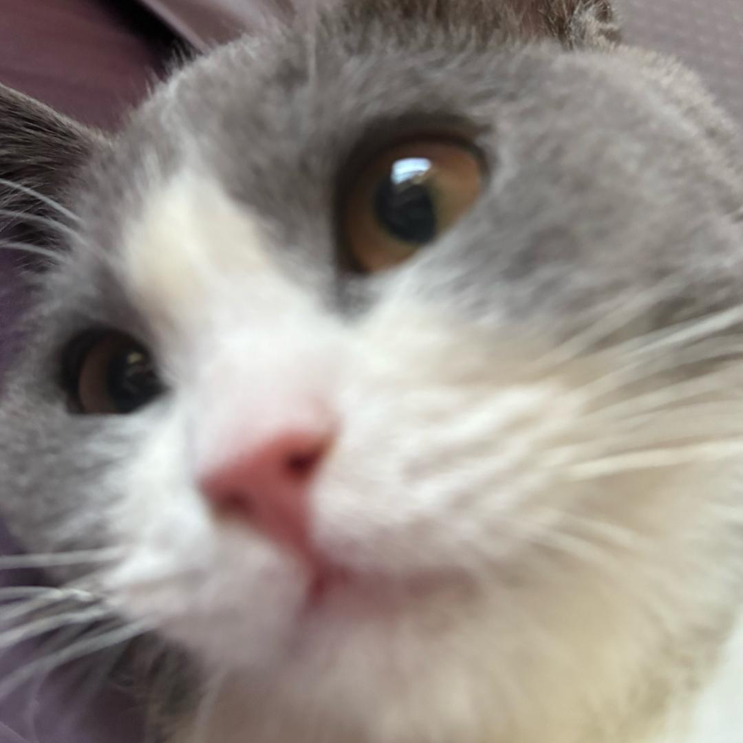 留不住