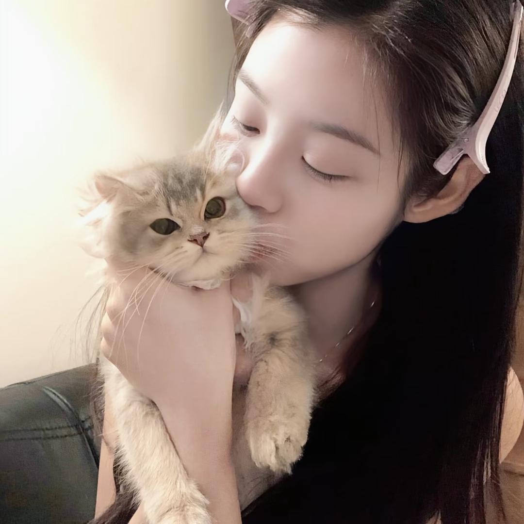 睡个好觉😴