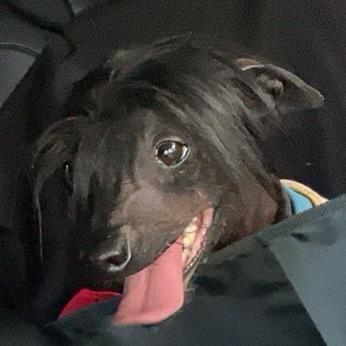 我叫英俊（汗捂弟）