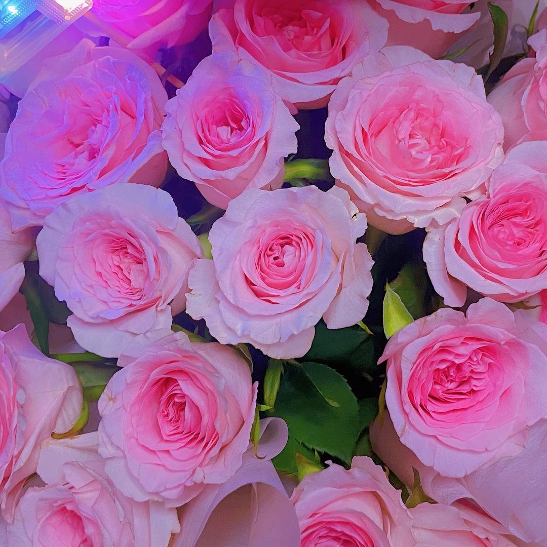 。。。。。。。。。。。。