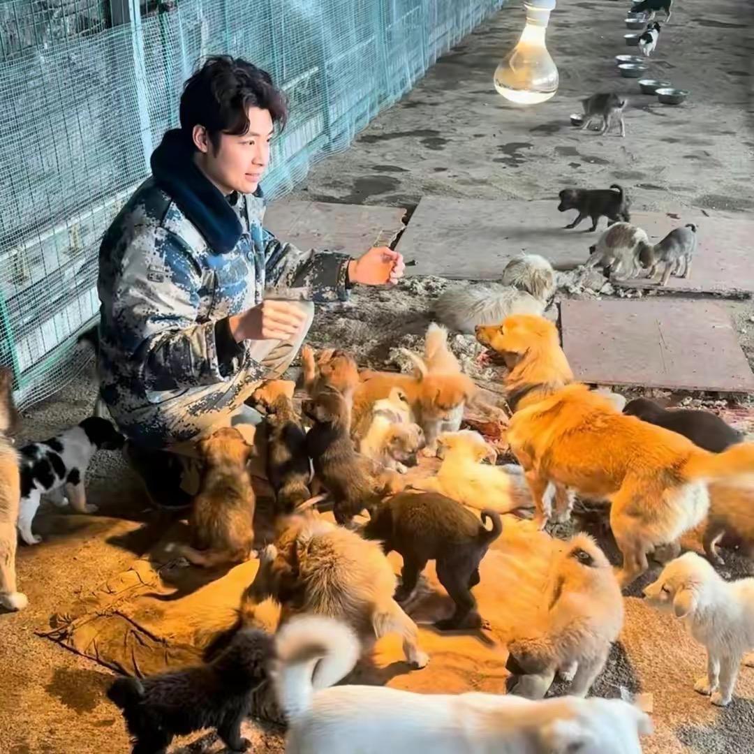 丝城流浪狗小院（多米）