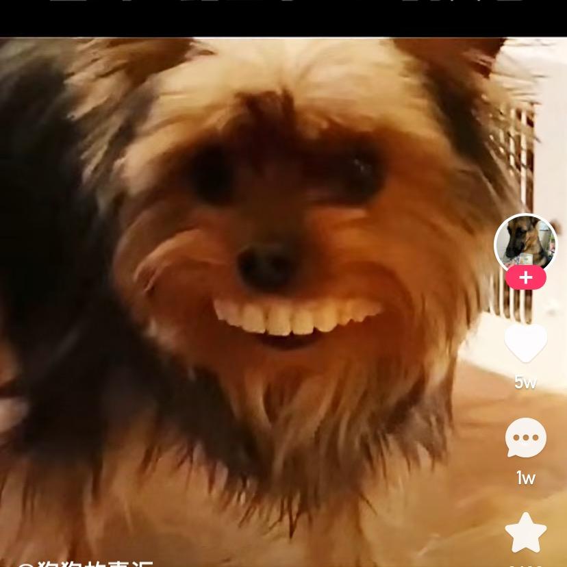 社恐的小美（杨李版）