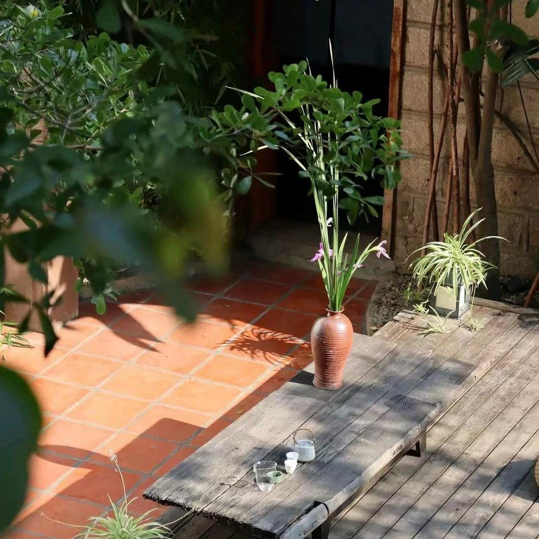 王阿坤田园生活