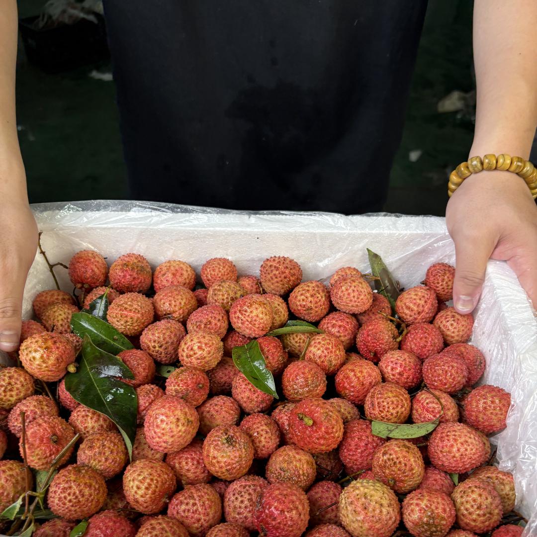 嘉兴水果市场鲜果瞬达