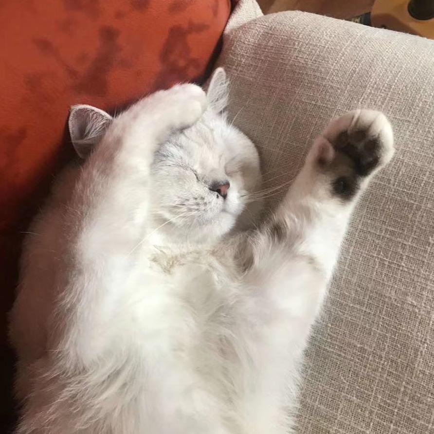 琦瘦瘦（情人节见单依纯版）