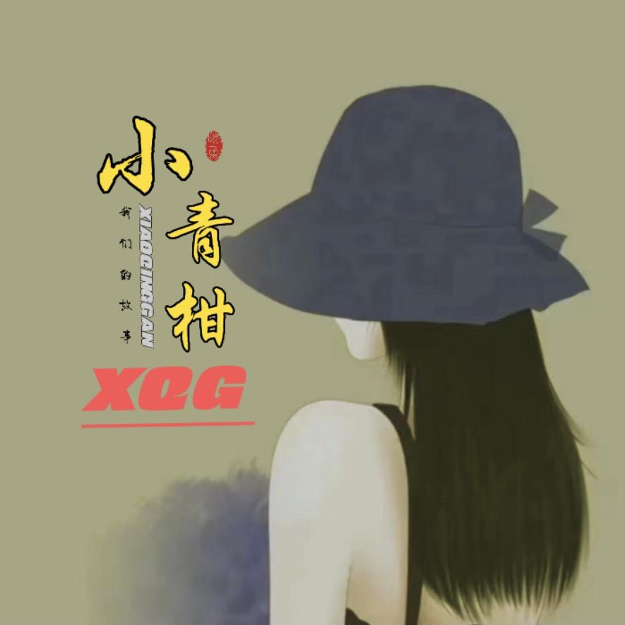 小青柑.