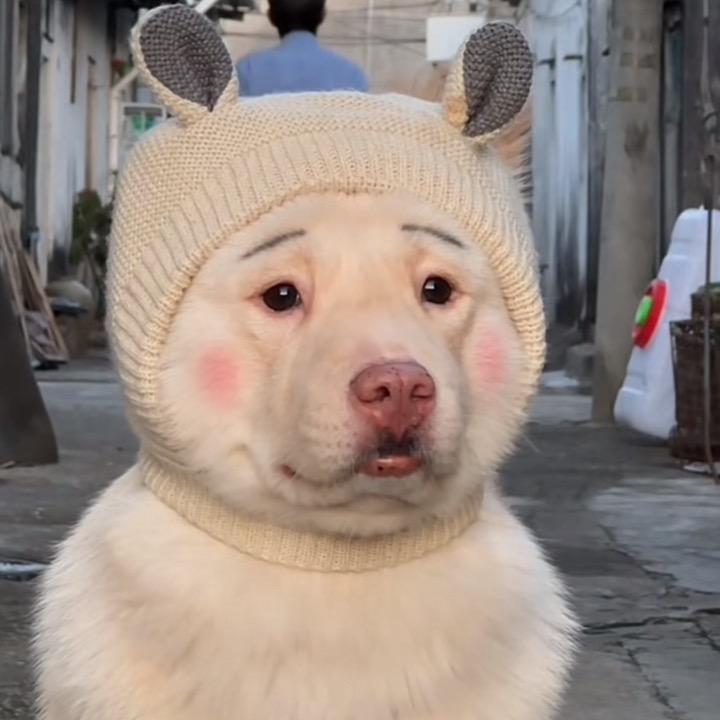 宠尚优乐宠物店