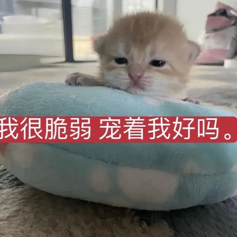 奶黄包