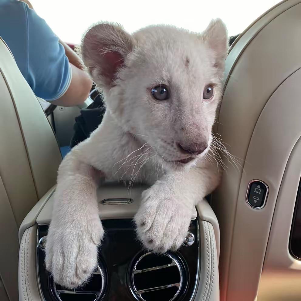 武汉市尖歧网络科技有限公司