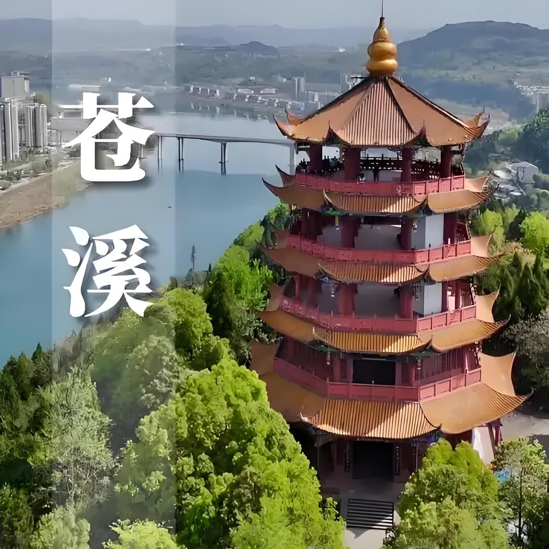 阆源滋味旗舰店苍溪特产