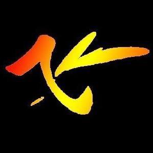 欢乐飞哥