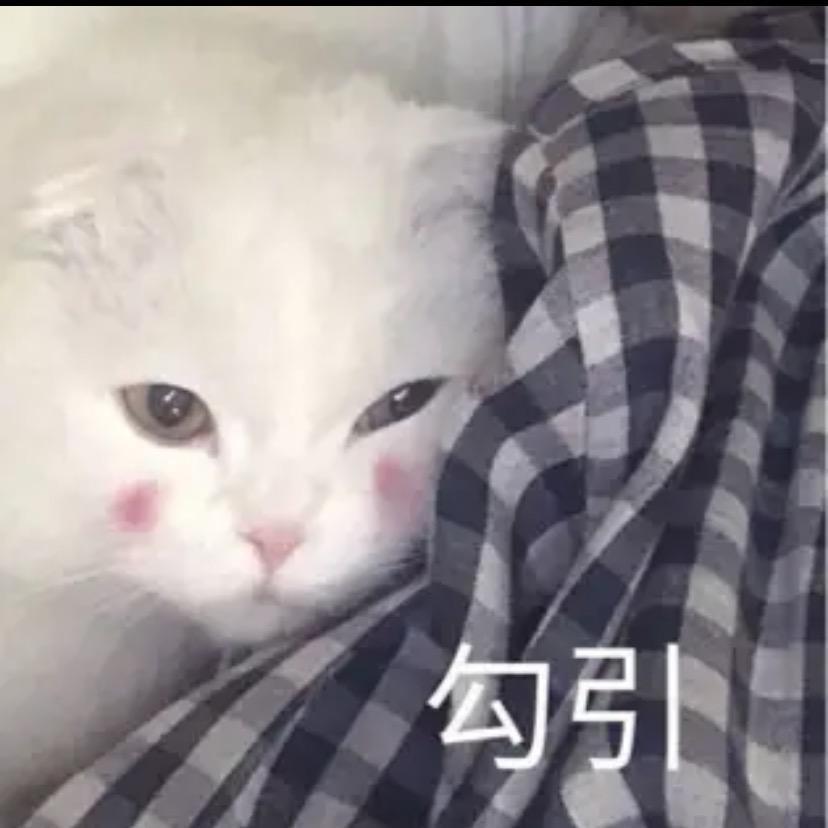 葫萝卜🥕