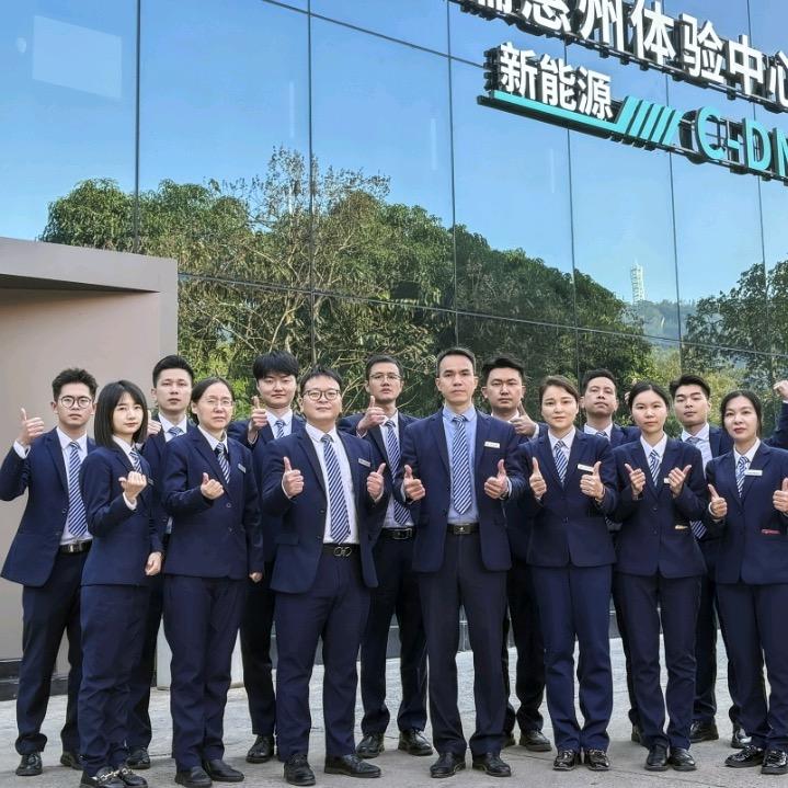 惠州鹏驰奇瑞啊表