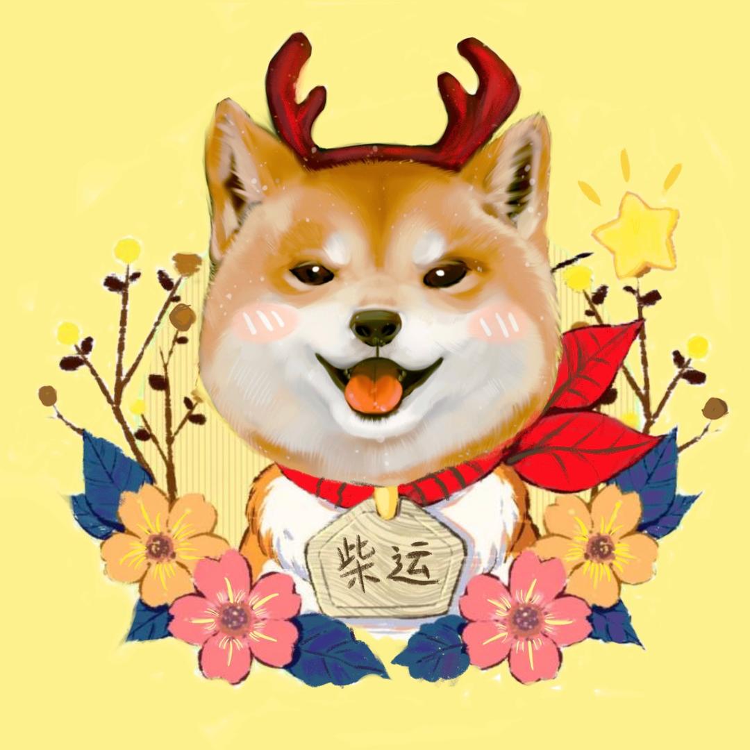 做个野人想干嘛就干嘛