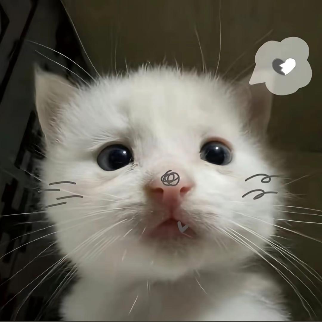 我不信你了