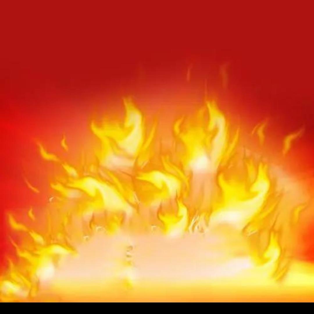 热带沙漠中的一团火