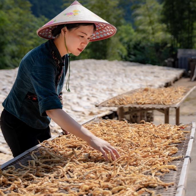 茶香乡村生活