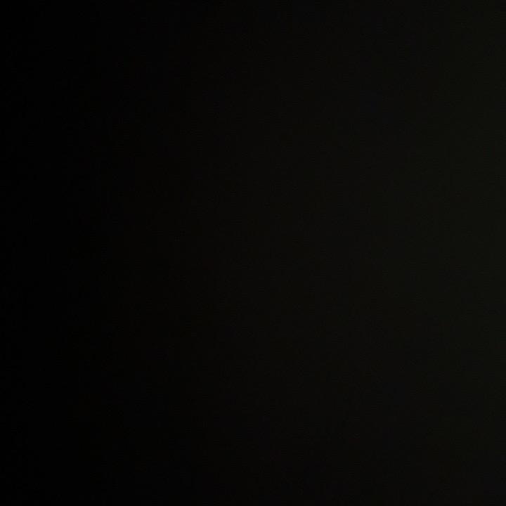 ..........