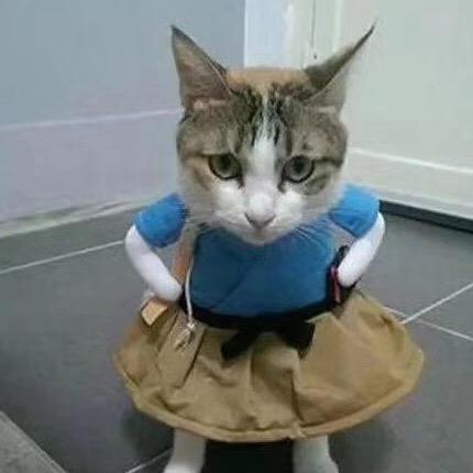 素