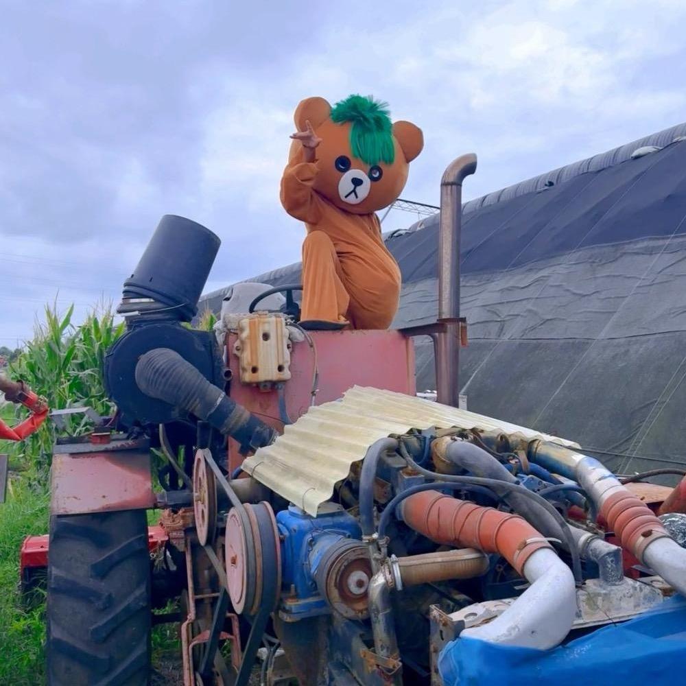 熊大熊二户外🐻