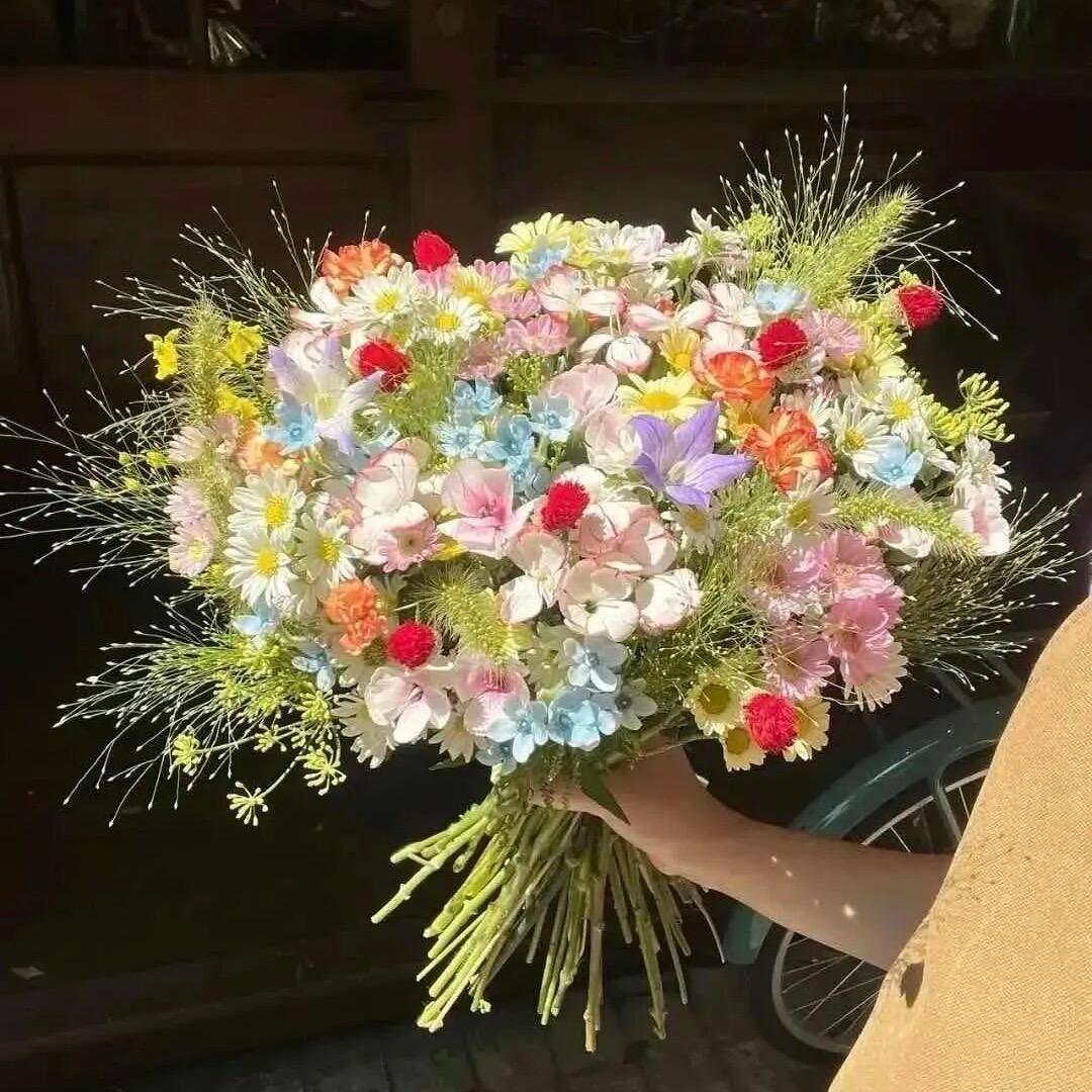 徐芳芳