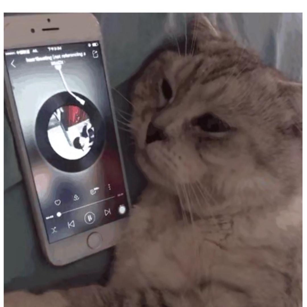 来迟