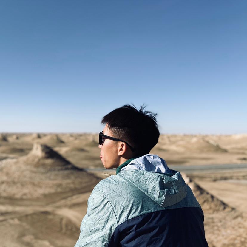 VisualSenseWu
