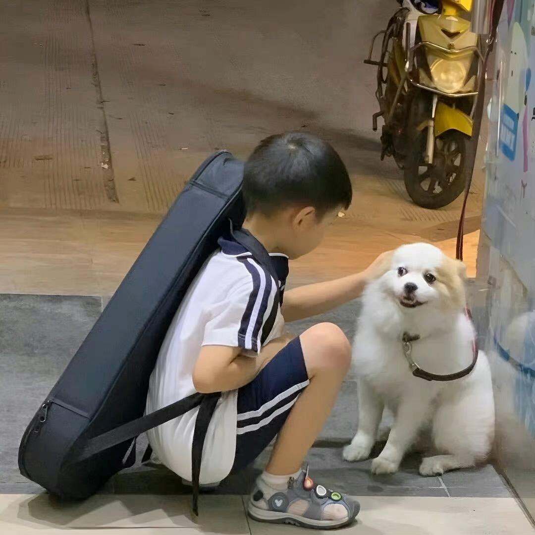 绯红绅士