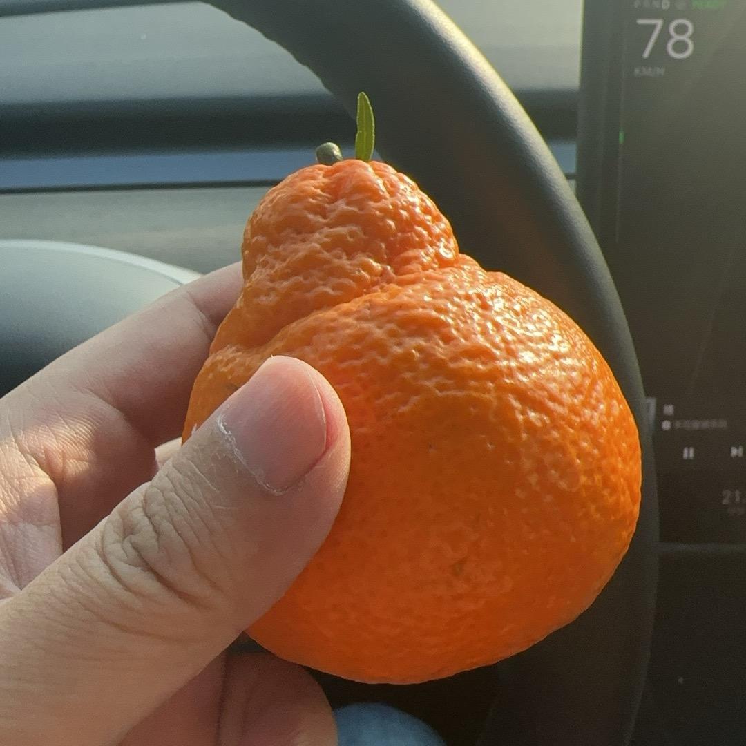🍊小橘子