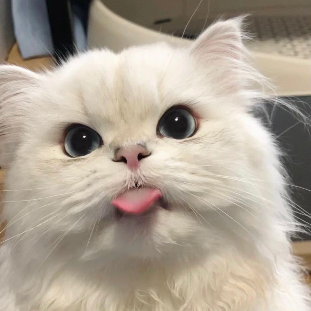 倩儿.