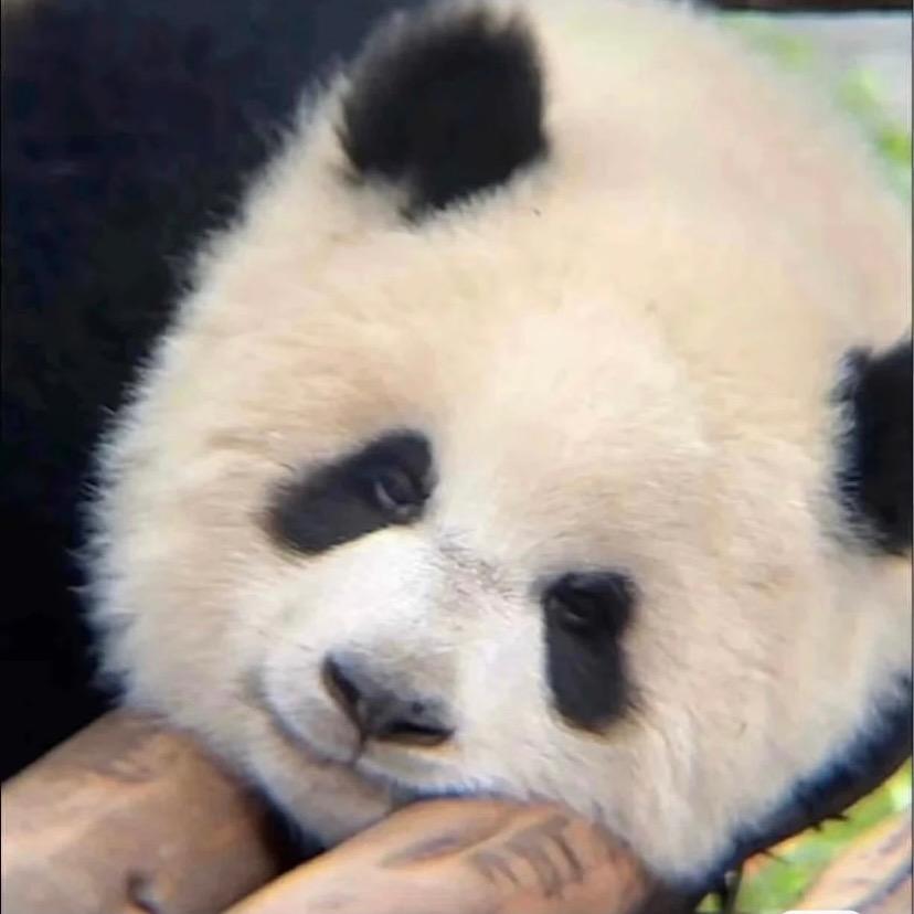 周转箱（见过JJ、DT、WayV版）