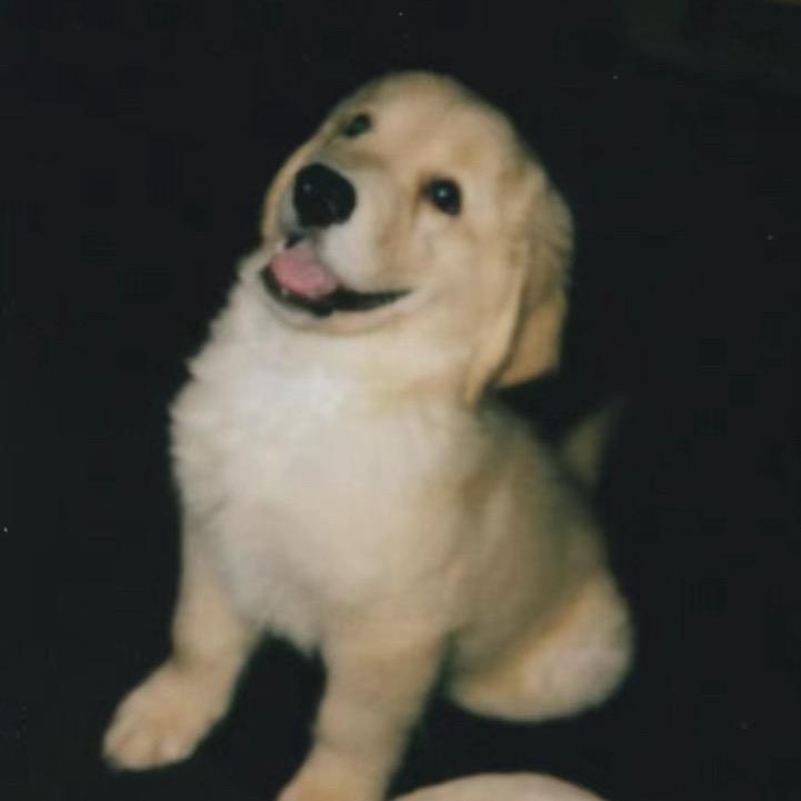 ㅤㅤz.