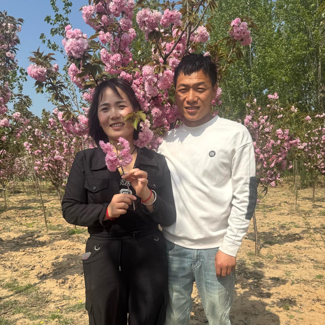 老表的日常生活