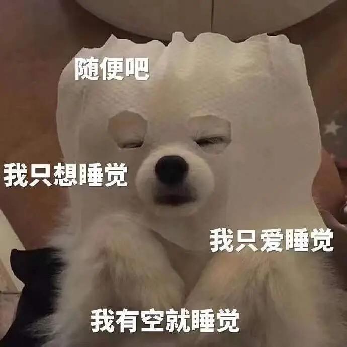 箬茜溪