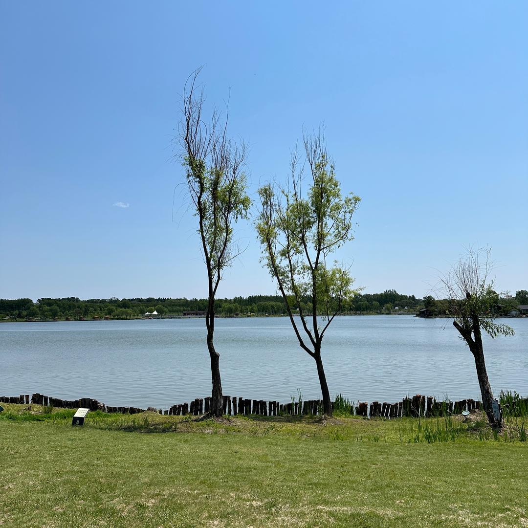 卟卟愣愣！比比划划！栽栽愣愣！