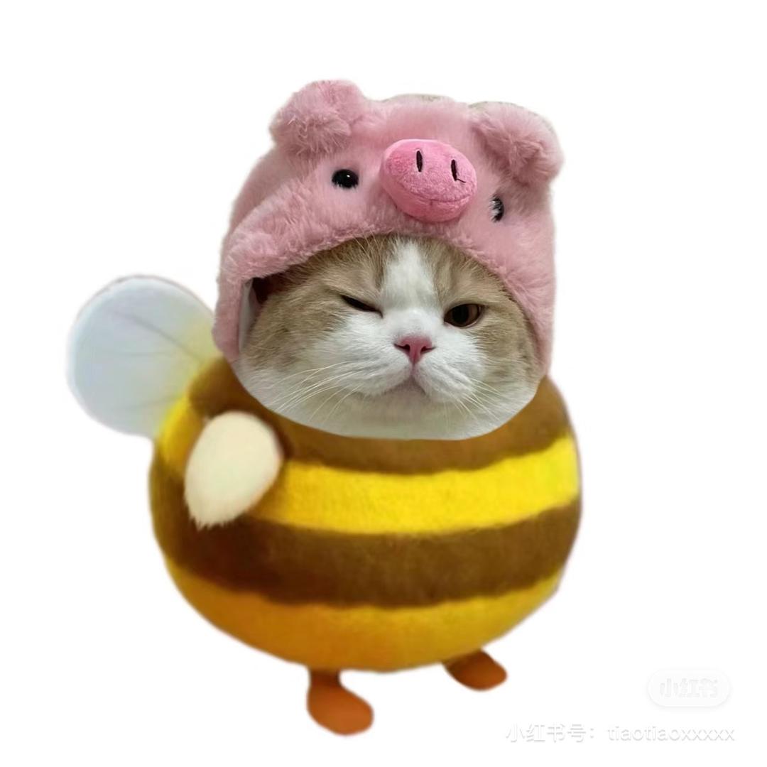 愉快小盒子🌙ིྀ