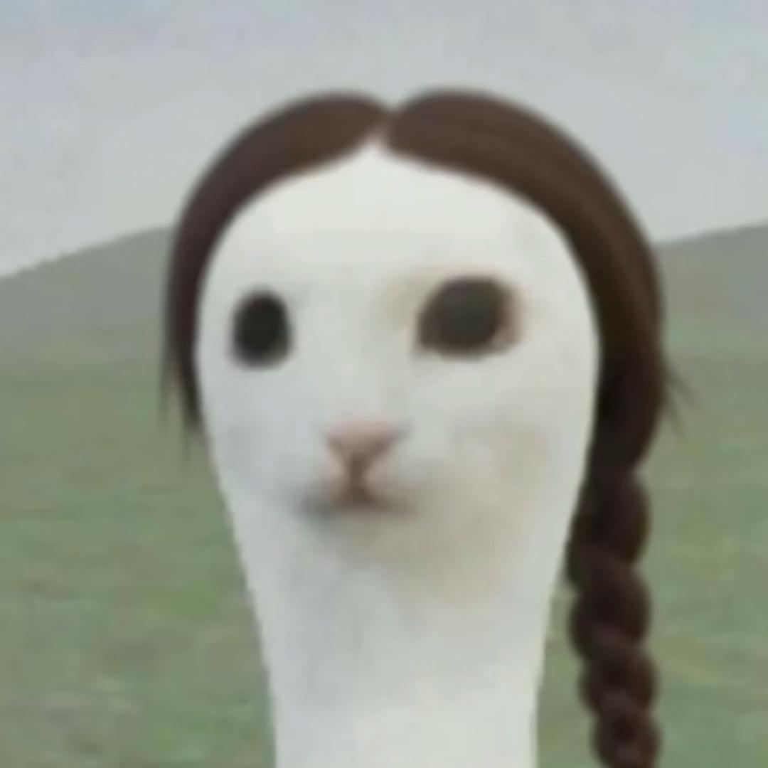 4441