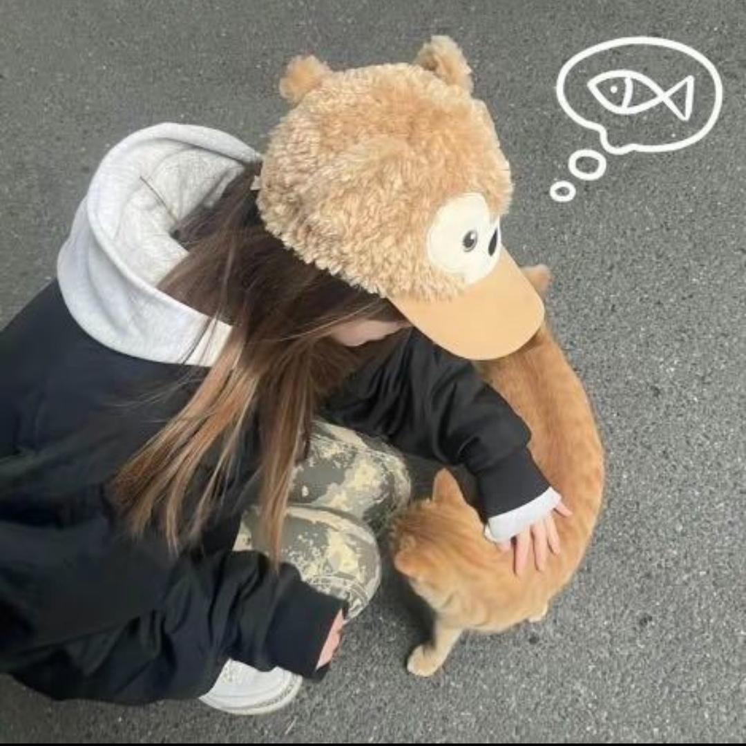 岛