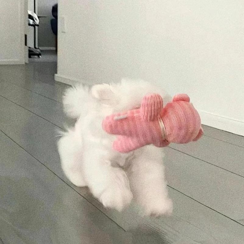 困就睡呗