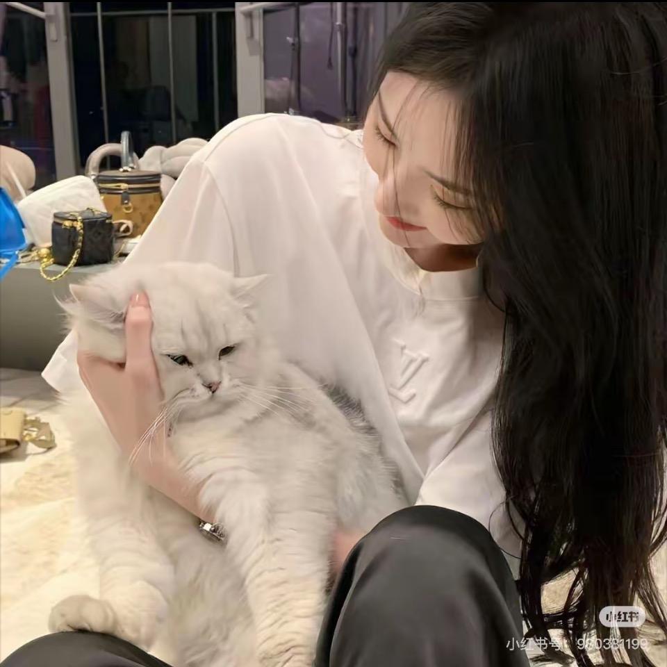 李婷婷.