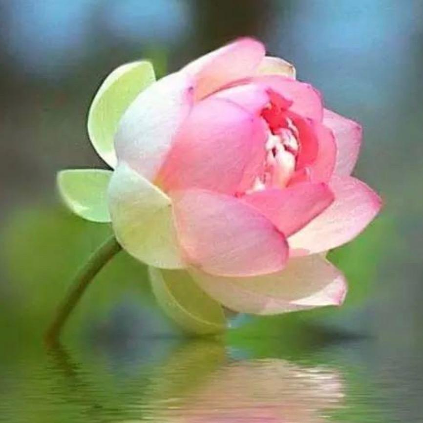 陳老师