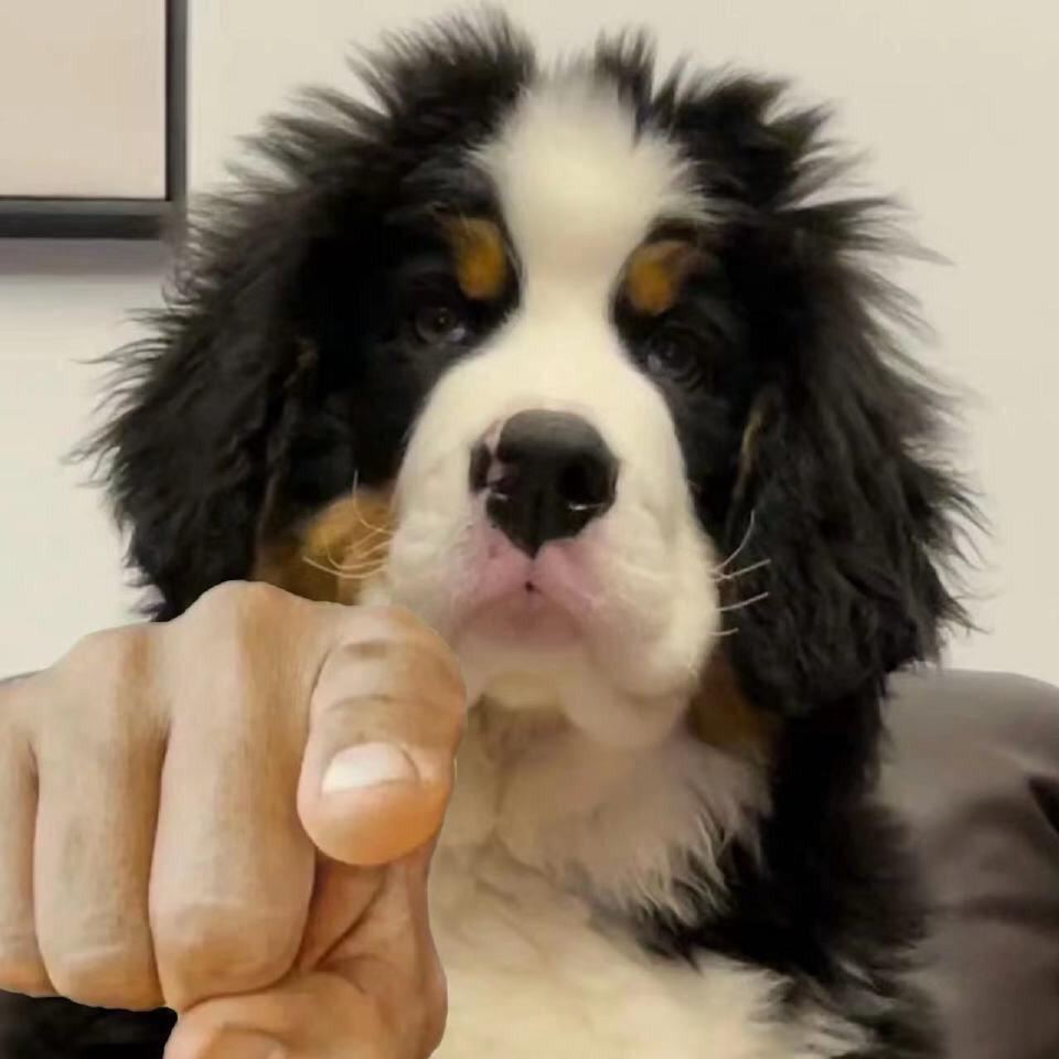 吃点中餐调理一下吧