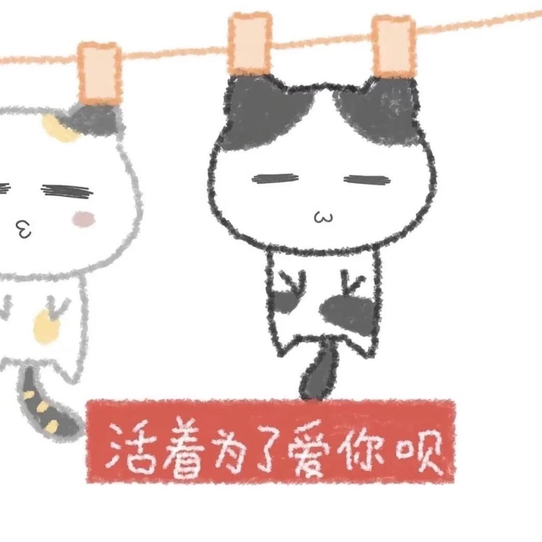 知树意
