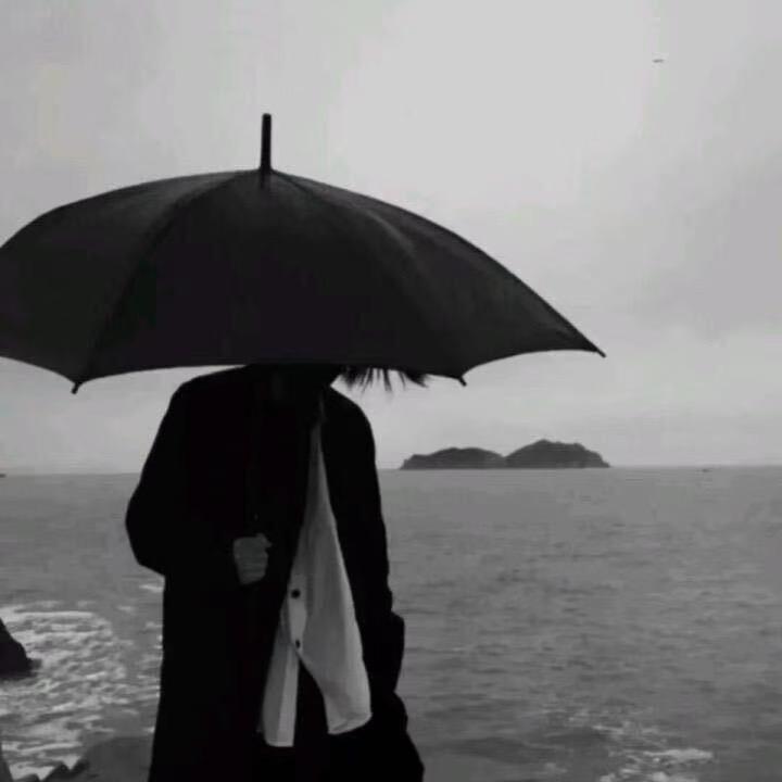 风靡电商（瑞鼎谦）