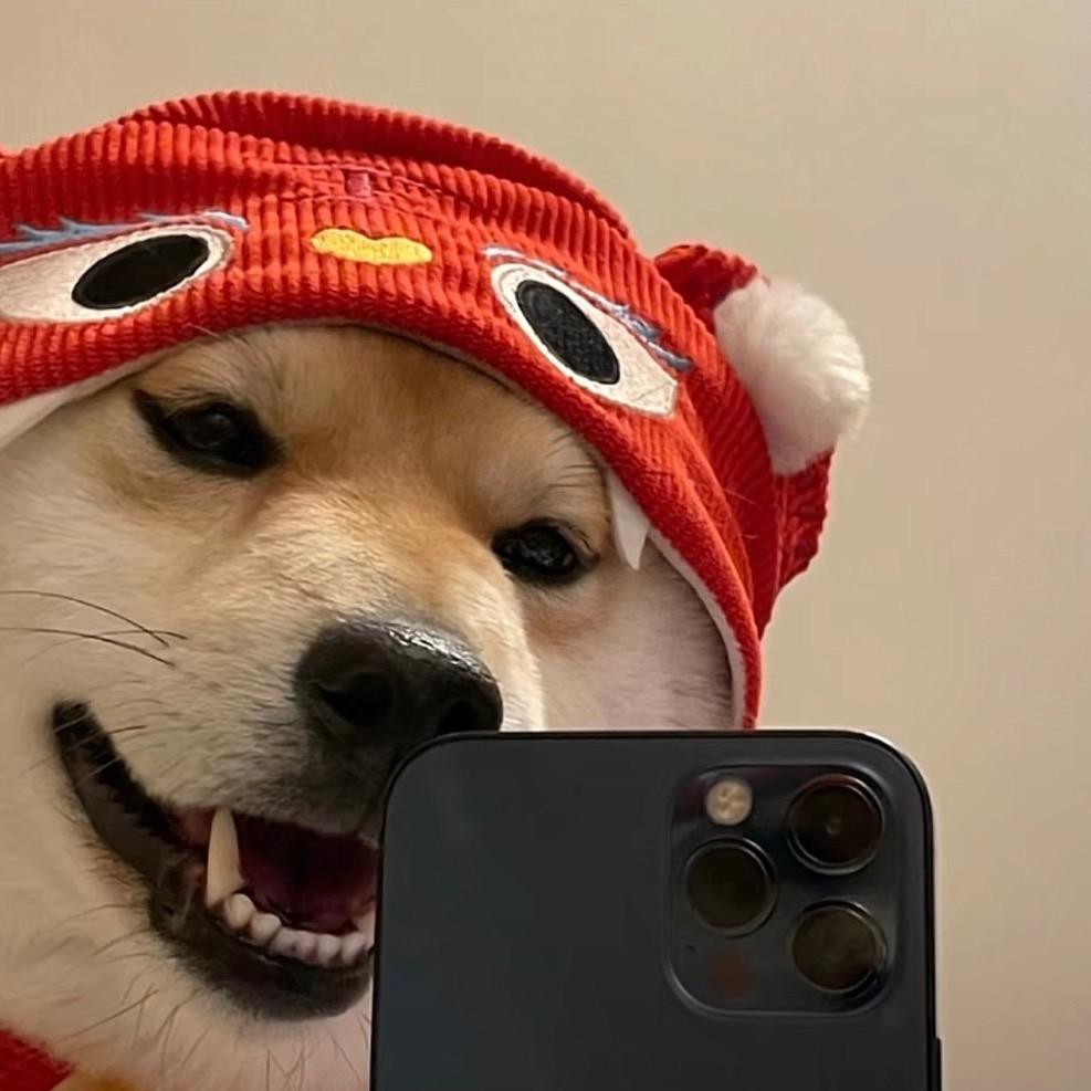 黑茶