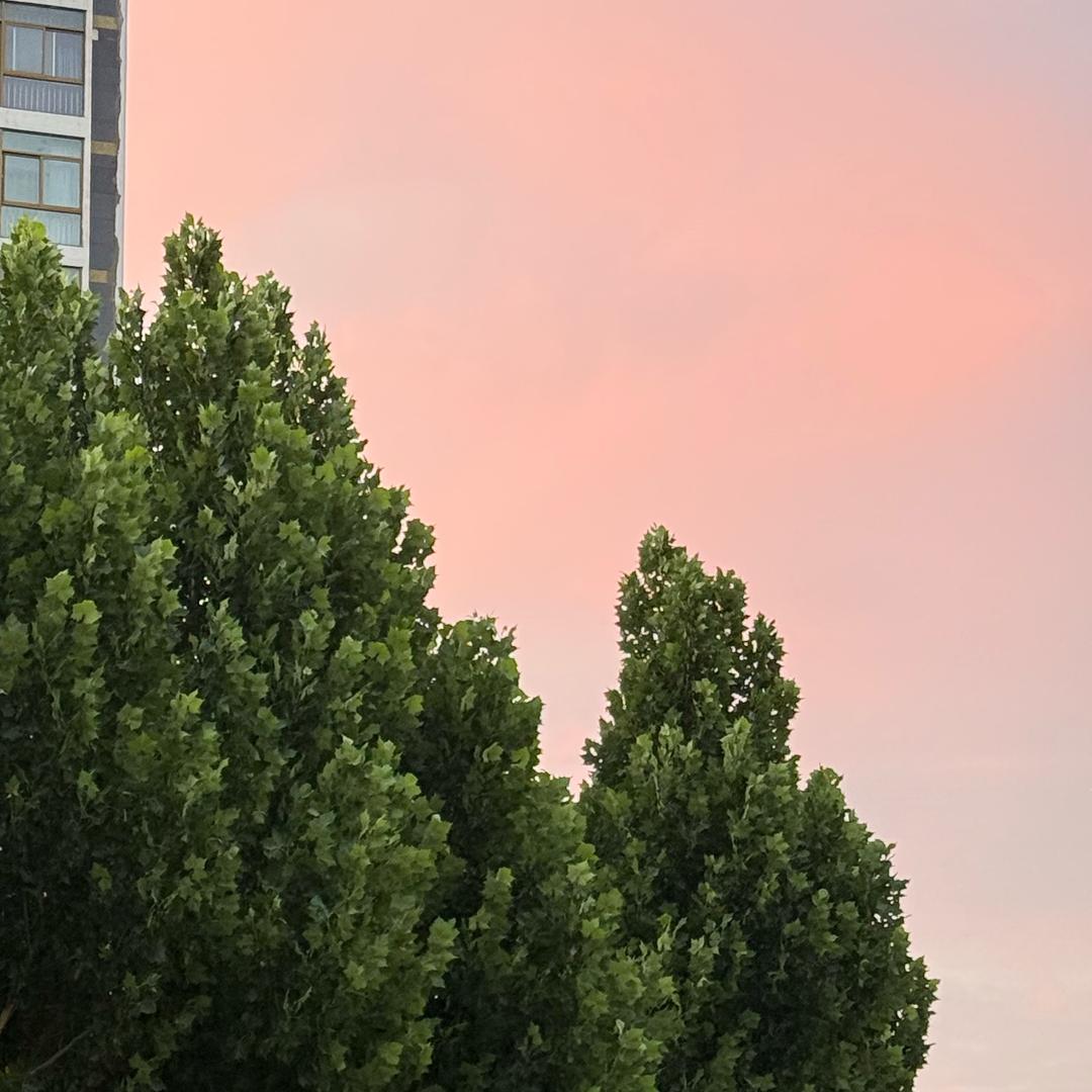 小卤蛋的家（软装中）