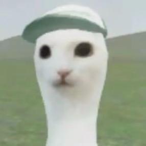 薛定谔的猫粮